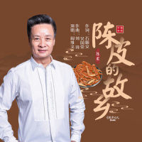 陈皮的故乡_阎维文