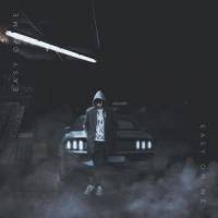 Easy on me (feat. Will Gittens)_LAUCS,Will Gittens
