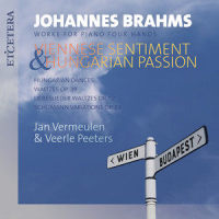 Allegretto Grazioso_Veerle Peeters,Jan Vermeulen,Johannes Brahms