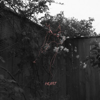 Hurt_Late June