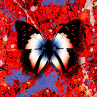 2step (feat. Ellinoora)_Ed Sheeran,Ellinoora