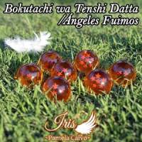 Bokutachi wa Tenshi Datta_Iris ~Pamela Calvo~,94Stones