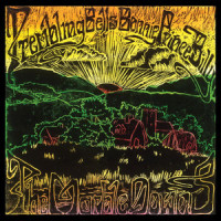 Every Time I Close My Eyes(We're Back There)_Trembling Bells,Bonnie 'Prince' Billy