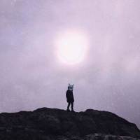 Wildfire(Bobby bootleg)_BobbyER,Slow Magic