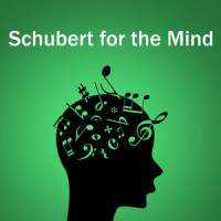 Schubert: Moment Musical In F Minor, D.780 No.3 (Live)_London Symphony Orchestra,Leopold Stokowski