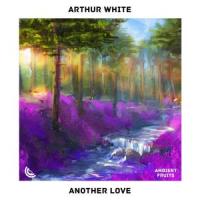 Another Love_Ambient Fruits Music,Arthur White,Tom Odell