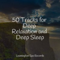 Anxiety Relief_Deep Sleep Music Delta Binaural 432 Hz,Sol y Lluvia,Spa Zen