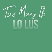 Tsis Muaj Ib Lo Lus_David Yang