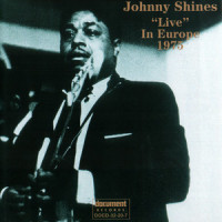 I Believe I'll Dust My Broom_Johnny Shines