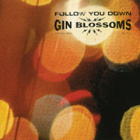 Follow You Down_Gin Blossoms