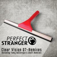 Clear Vision 07_Perfect Stranger