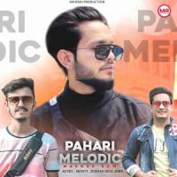 Pahari Melodic Mashup EDM_Monty,Shubhan Negi,Rishi