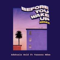 Before You Wake Up_Adekunle Gold,Vanessa Mdee