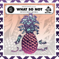 7 Dollar Bill_What So Not