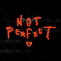 Not Perfect_Foreign Forest,Anthony Monsivais,Sam Macaluso