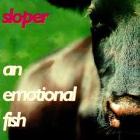 Superman_An Emotional Fish