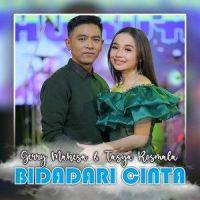 Bidadari Cinta_Gerry Mahesa,Tasya Rosmala