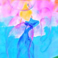 Blue Butterflies_Samantha Paige