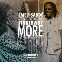 More of You_Emeli Sandé