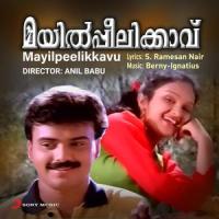 Mayilaai Parannu Vaa_Berny-Ignatius,K.J. Yesudas,K.S. Chithra