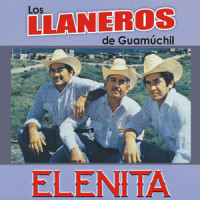 Adios en el Puerto_Los Llaneros De Guamuchil,Ernesto Dominguez Borras