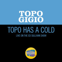 Topo Has A Cold_Topo Gigio
