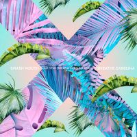 All Star_Smash Mouth,Breathe Carolina