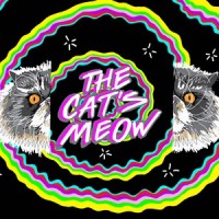 The Cat's Meow_The Gaslamp Killer,Amir Yaghmai