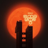 Noises From the Outside_Bokka
