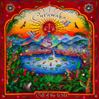 Cuñaq_Curawaka,Miguel Molina