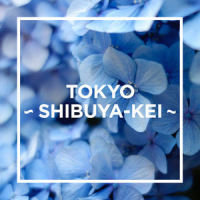 Asahi No Ataru Michi - As Time Goes By_ORIGINAL LOVE