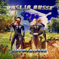 Lippu salkoon_Pasi ja Anssi