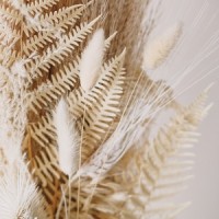 Meditative Waves_Relaxation Sleep Meditation,Spa,Gentle Rain Makers