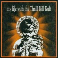 A Girl Doesn't Get Killed By A Make - Believe Lover...'Cuz It's Hot_My Life With The Thrill Kill Kult