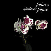 Se Io Fossi Il Giudice_Afterhours