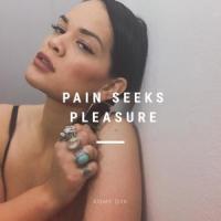 Pain Seeks Pleasure_Romy Dya