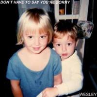 DON'T HAVE TO SAY YOU'RE SORRY_Wesley,Wesley Stromberg,Devrim Karaoğlu,Dan Whittemore,Alex Arias