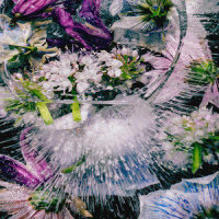 we're dying_Cherry Coke