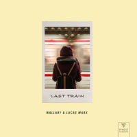 Last Train_Wallaby,Lucas Marx