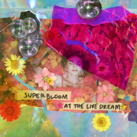 ghost at the Live Dream_MisterWives