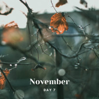 November_Day 7,Katerina Cole