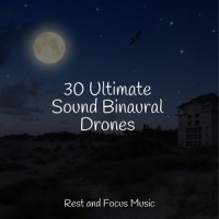 Rolling Dusk_Pink Noise,The Sleep Specialist,Powerthoughts Meditation Club