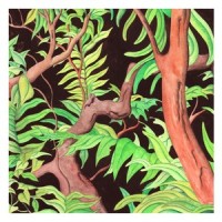 Hazy Horse_Jesse Woods