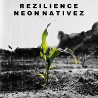 S O L S T I C E_HÓZHÓ (feat. Alexandria Holiday)_Neon Nativez,Alexandria Holiday