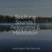 Sailing Beyond Horizons_Wellness,Bedtime Baby,Organic Nature Sounds