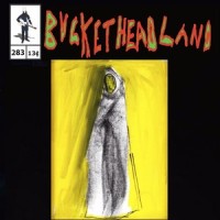 Once Upon A Distant Plane_Buckethead