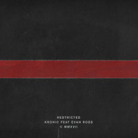 Restricted (feat. Evan Ross)_Kristina Alcordo