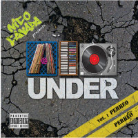 Seguimos a Lo Under_Ñengo Flow