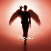 Pegasus_布袋寅泰