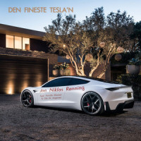 Den fineste Tesla´n_Jon Niklas Rønning,Pernille Øiestad,Ole M. Aagenæs